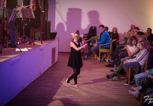 JBO Konzert 2017 1339 (688 besuche) JBO Konzert 2017 1339
