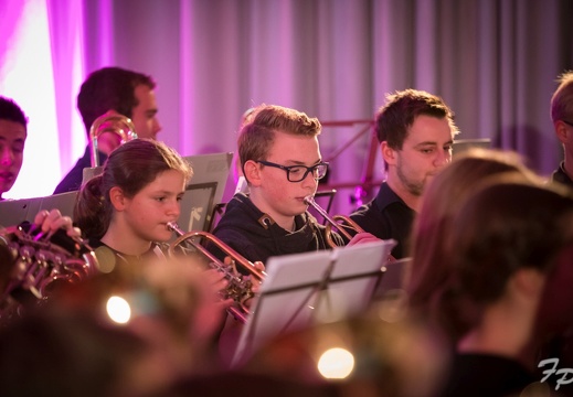JBO Konzert 2017 1352 (651 besuche) JBO Konzert 2017 1352