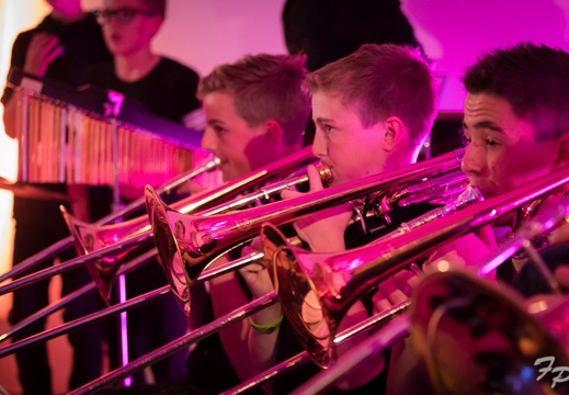 JBO Konzert 2017 1389 (594 besuche) JBO Konzert 2017 1389