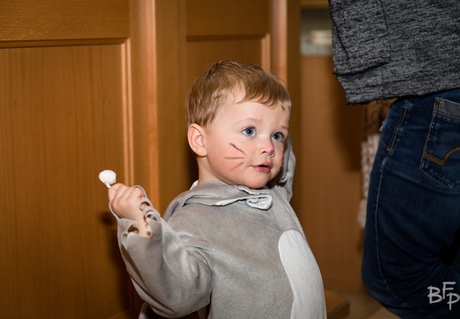 Kinderfasching 2019 170823 (228 visits) Kinderfasching 2019 170823