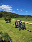 Tag der Blasmusik 2025 0f170c84a029436b8cb616cc1049399d 10